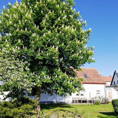 Ferienwohnung Lodig Gross Sarchen Zewnętrze zdjęcie