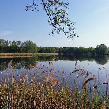 Ferienwohnung Lodig Gross Sarchen Zewnętrze zdjęcie