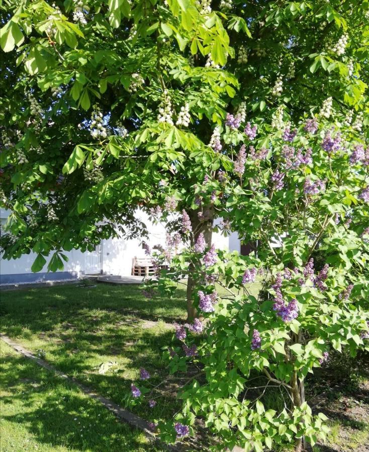 Ferienwohnung Lodig Gross Sarchen Zewnętrze zdjęcie